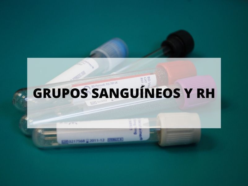 Descubre todo sobre los grupos sanguíneos y RH
