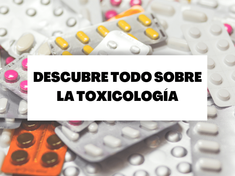 Descubre todo lo necesario sobre la toxicología